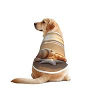 Seashell Landscape On The Beach Print Dog Shirts for Pet, Soft Breathable Vest Lightweight Stretchy Pet T-Shirt for Medium Dog