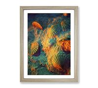 Seashell Shell Ocean 3 Modern Framed Print | A2 Oak Framed Wall Art | Ready to Hang | Modern Nautical Picture | Living Room Bedroom Lounge Office