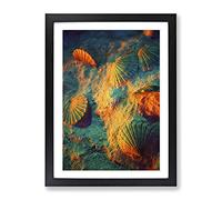 Seashell Shell Ocean 3 Modern Framed Print | A4 Black Framed Wall Art | Ready to Hang | Modern Nautical Picture | Living Room Bedroom Lounge Office