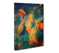 Seashell Shell Ocean Vol.3 Canvas Print | Gallery Wrapped 30mm Frame Wall Art | 30x20 inches | Ready to Hang | Modern Animals Picture | Living Room Bedroom Lounge Office