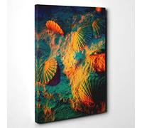 Seashell Shell Ocean Vol.3 Canvas Print | Gallery Wrapped 30mm Frame Wall Art | 30x20 inches | Ready to Hang | Modern Animals Picture | Living Room Bedroom Lounge Office