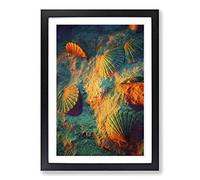 Seashell Shell Ocean Vol.3 Framed Print | A2 Black Framed Wall Art | Ready to Hang | Modern Nautical Picture | Living Room Bedroom Lounge Office