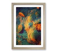 Seashell Shell Ocean Vol.3 Framed Print | A2 Oak Framed Wall Art | Ready to Hang | Modern Nautical Picture | Living Room Bedroom Lounge Office