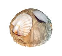 Seashell Starfish On Beach Shower Caps For Women, Elastic And Reusable Bath Caps, Double Waterproof Layers Shower Cap, Bathing Shower Caps