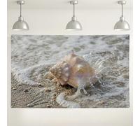 Seashell Waves Backdrop, Nautical Coastal Beach Decor, Soft Beige Ocean Scene for Photography, Summer Party Background 71x43 Inch