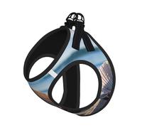 Seashells by The Seashore Print Pet Leash Vest Soft Adjustable Step in Puppy Vest Outdoor Walking with Leash