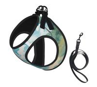 Seashells On The Beach Print Pet Leash Vest,For Small Dogs,Adjustable And Comfortable Cat Puppy Essentials