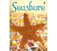Seashore: Level 1 (Usborne Beginners)