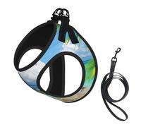 Seaside Boat Coconut Leaves Printing Puppy Summer Vest Harness With Reflective,Dog Accessories For Small Medium Large Dogs And Cats