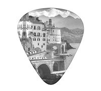 Seaside City Guitar Picks 12 Pack Set Guitar Gift for Bass Picks Acoustic Guitars Plectrums with Clear Storage Box