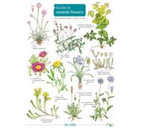 Seaside Flowers