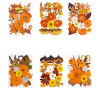 Seasonal Crafting Essential Autumn Dried Flower with Leaves for Scrapbooking Resin Art Phone Case Decoration Handmade Gift Making Flower