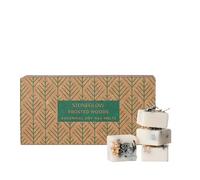 Seasonal - Frosted Woods (Pear, Patchouli & Musk) - Botanical Soy Wax Melts