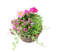 Seasonal Planted Wooden Barrel - 30cm Rustic Outdoor Planter