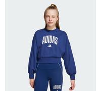 Adidas Seasonals Essentials Collegiate Typography Crewneck Sweatshirt Blue 11-12 Years Girl