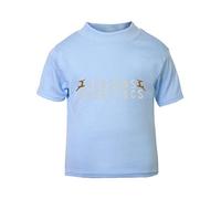 Seasons Greetings Style 2 Reindeer Short Sleeve Cotton Toddler t Shirt, 3-4 Years, Pastel Blue