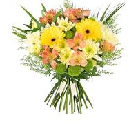 Seasons Joy - Fresh Flowers - Birthday, Anniversary, Get Well, Thank You, Occasion Flower - Cut Floral Arrangement for Gifts, Weddings, Sympathy, Celebrations, Mothers day (Medium)