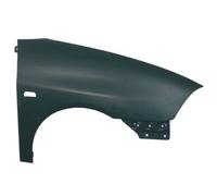 Seat Ibiza 02-08 Front Wing With Holes Right Hand ST0333013 (4961)
