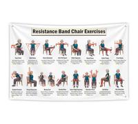 Seated Resistance Band Chair Exercises,Tai Chi Workout Chart for Seniors | Chair Mobility Training Workout Chart , Elderly Fall Prevention Home Exercise Wall Poster For Beginnin 59 x 35 in
