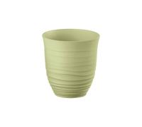 Seaweed Green LOW TUMBLER "TIERRA"