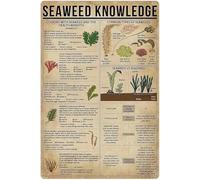 Seaweed Knowledge Metal Tin Signs Vintage Seaweed Infographic Posters Algae Encyclopedia Guide Plaque Wall Decor School Classroom Novelty Funny Bar Club Living Room School Farm Decor 12x8 Inches