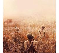 Sebastian Plano - Arrhythmical Part Of Hearts [VINYL]