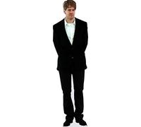 Sebastian Vettel Mini Size Cutout