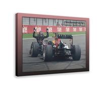 Sebastian Vettel Poster Canvas Poster Wall Art Decor Print Picture Paintings for Living Room Bedroom Decoration 16x24inch(40x60cm)