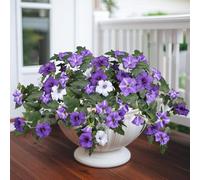 SEBOVIM 2 Bundles Artificial Flowers Purple Faux Morning Glory Flowers Outdoor UV Resistant No Fade Artificial Plants for Indoor Garden Decor