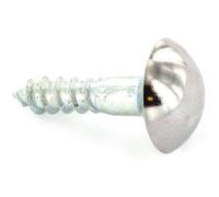 SEC Mirror Screws 20MM X4 S6791