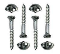 SEC Mirror Screws 25MM X4 S6792