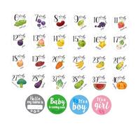 SECFOU 28Pcs Maternity Belly Stickers and Pregnant Women Bump Decals Photo Props with Monthly Progress Cards for Pregnancy Week Tracking and Newborn Set