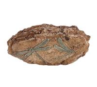 SECFOU Artificial Prehistoric Insect Specimen Resin for Reptile Enclosure Decor, Realistic Design for Science Education and