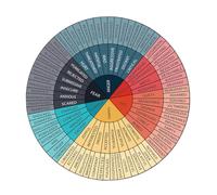 SECFOU Feelings Wheel Chart Stand Double-Sided Emotion Poster for Mental Health Therapy Educational Decor for Office and Classroom Emotional Wheel Stickers for Social Work