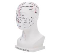 SECFOU Human Head Acupoint Model with Accurate Facial Acupuncture Points for Educational Use and Massage Training HD Anatomy Teaching Aid