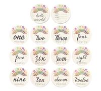 SECFOU Monthly Cards and Synthetic Material 14pcs Wooden Baby Cards Photo Prop with Assorted Colours for Celebrating The First Year of A Baby's Birth