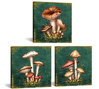 sechars Mushroom Canvas Wall Art Vintage Botanical Plant Kitchen Painting Prints for Living Room Dining Hall Decorations Framed Ready to Hang (Small)