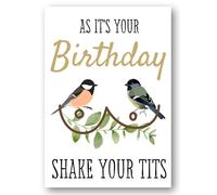 Second Ave Funny Shake Your Tits Joke Happy Birthday Card