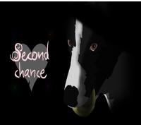 Second Chance Steam CD Key