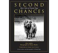 Second Chances: More Tales Of Found Dogs