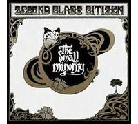 Second Class Citizen - The Small Minority (2012)