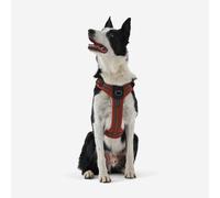 Second Life - Dog Harness 500 Terracotta