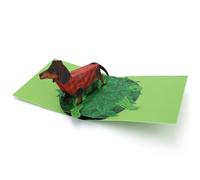 SECOND NATURE 2ToTango 3D Pop Up Card Cute Dachshund Dog Greeting Card Any Occasion Envelope Included, Keepsake, Adults, Mail-Ready, Sausage Dog, Kids, Dog Lover, Birthday, Paper Art