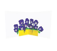 SECOND NATURE 2ToTango 3D Pop Up Card Floral Display Pansies Greeting Card Any Occasion Pop-Up Surprise, Blank Message, Envelope, Keepsake, Women, Female, Celebration, Mother's Day, Birthday