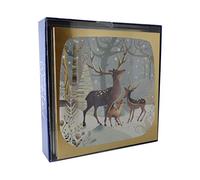 Second Nature Box of 8 Winter Wonderland Christmas Cards In 2 Designs Xmas Card Packs XCPC010