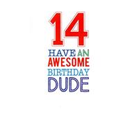 14 Have An Awesome Birthday Dude. Boys 14th Birthday Card