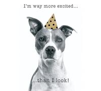 SECOND NATURE Hand-Finished Funny Birthday Greeting Card Embellished Dog In A Party Hat - Yours Truly Playful Design, Heartfelt Expression, Gold Foiling, Eco-Friendly, Charming Keepsake