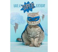 SECOND NATURE Hand-Finished Funny Birthday Greeting Card Embellished Super Hero Cat Birthday - Yours Truly Playful Design, Vibrant Colours, Heartfelt Wishes, Eco-Friendly, Memorable Keepsake