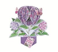 Happy Mother's Day Flowers Pop-Up Greeting Card Second Nature 3D Pop Up Cards MPOP024
