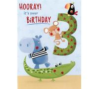 Second Nature Hooray Zoo Animals Boys 3rd Birthday Greeting Card Childrens Birthday Cards HBO011